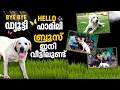 The First Narcotics Sniffer Dog Is Now In Its Own Heart This Is Bruce S Story Ranjith S Too