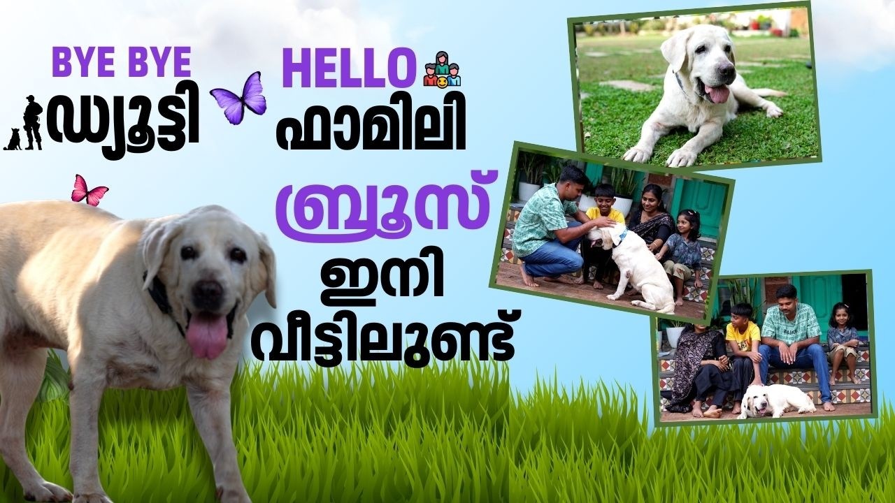 ആദ്യ നർക്കോട്ടിക് സ്നിഫർ ഡോഗ് ഇനി സ്വന്തം ഹൃദയത്തിലേക്ക്;  ഇത് 'ബ്രൂസിന്റെ കഥ, രഞ്ജിത്തിന്റേയും