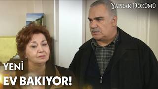 Yeni ev turları başladı! - Yaprak Dökümü Özel Klip
