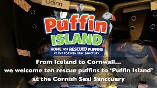 Welcome to Puffin Island