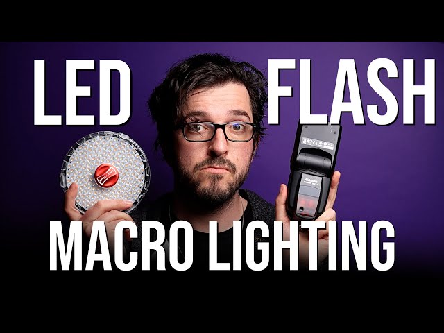 Macro lighting: LED Vs flash - What's the difference and which is