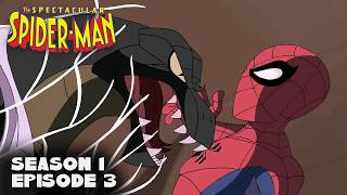 Natural Selection | The Spectacular Spider-Man | FULL EPISODE | S1E03 | Throwback Toons