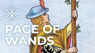 Page of Wands 🌱 Quick Tarot Card Meanings 🌱 Tarot.com Page of Wands 🌱 Quick Tarot Card Meanings 🌱 Tarot.com