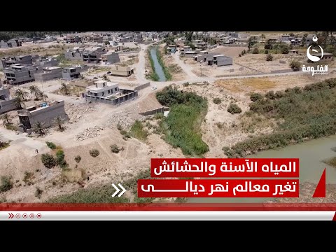 بعد جفافه وقطع روافده المياه الآسنة والحشائش تغير معالم نهر ديالى تقرير عمر العبيدي