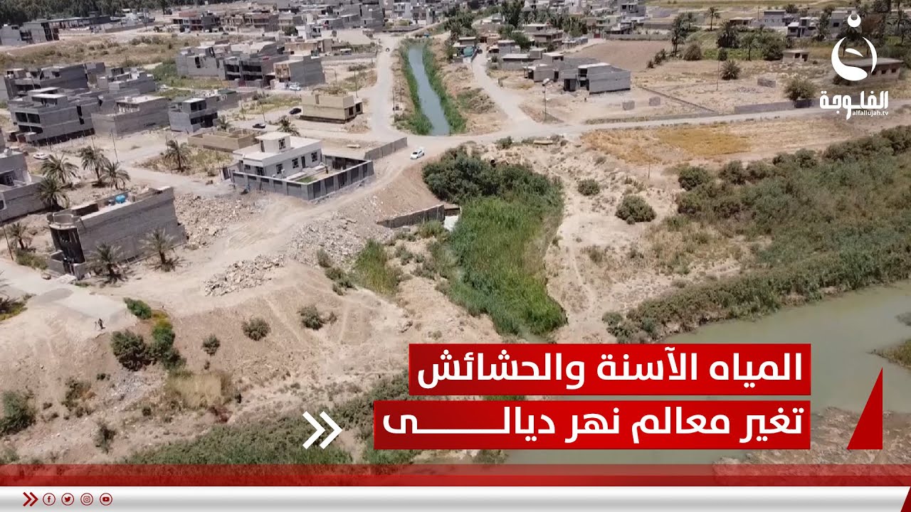 بعد جفافه وقطع روافده.. المياه الآسنة والحشائش تغير معالم نهر ديالى | تقرير: عمر العبيدي