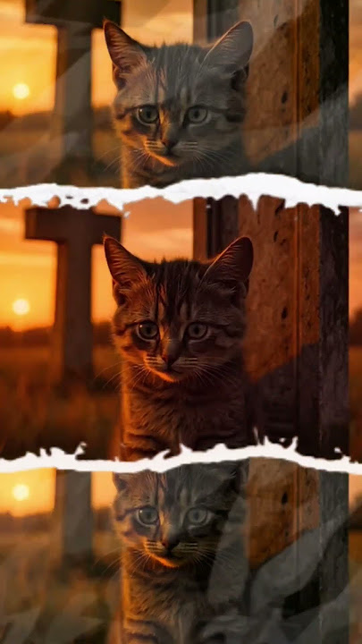 😢 Momen Paling Sedih! Anak Kucing Menangis di Depan Makam Ibunya