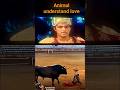 Animal Understand Love#emotinal#Love#Nature beauty