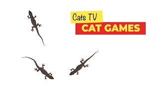 CAT GAMES - Lizard Creeps and Glides Fast 🦎Lizards for Cats to Watch - 3 HOURS