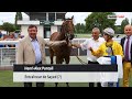 Henri alex pantall entraneur de sayed 0106  parislongchamp