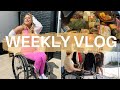 VLOG: Painting the house, cleaning out the garage, massive yard work, allergic reaction