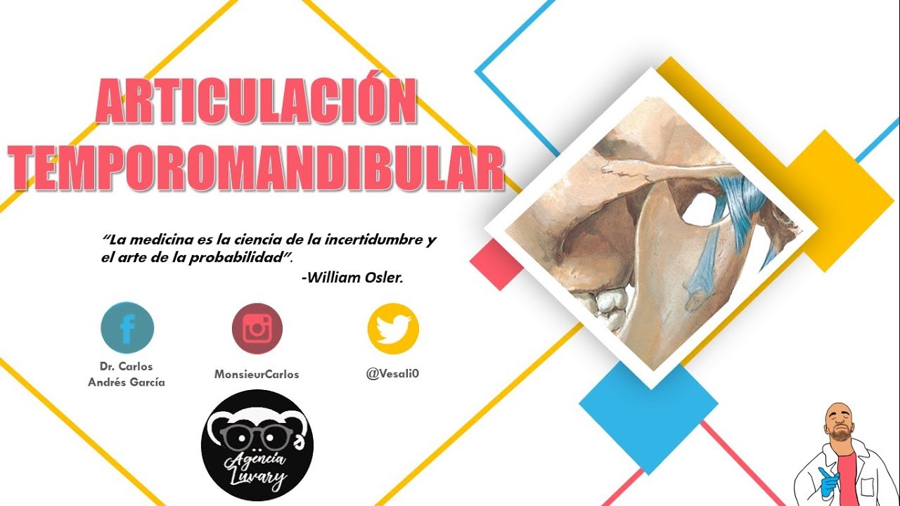 Anatomía – Articulación Temporomandibular (Superficies … — Transcript
