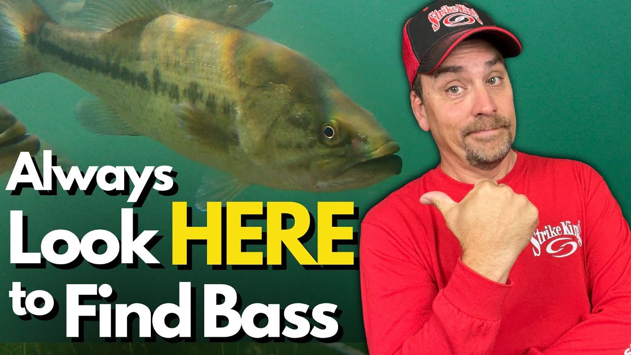 Find the MOST Bass on Your Water – Where to Start and Why