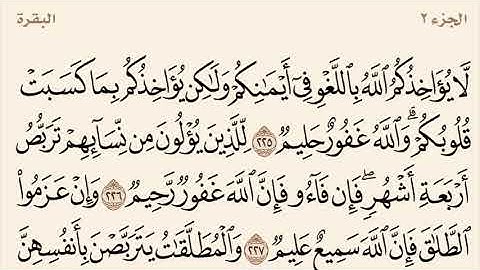 سورة البقرة مكررة من آية 225 إلى 230 القارئ وديع اليمني