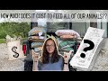How Much Does it Cost To Feed our Animals? | Three Little Goats Homestead