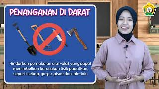 Video Pembelajaran SMK Perikanan - Pengelolaan Hasil Ikan