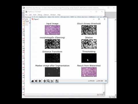 Watershed Algorithm
