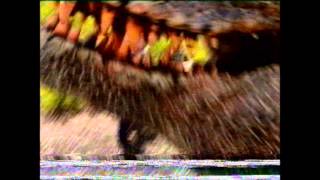 Abc Tv - Promo For Walking With Dinosaurs Signpost 14111999