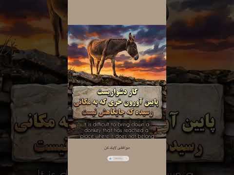 وقتی بی لیاقت را بالا می بری حقیقت تلخ جمله سنگین رفتار انسان لیاقت تفکر Elham 4 K 