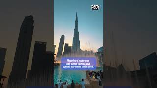 Is Abu Dhabi's 30,000 Reefs &amp; 100 Million Mangroves the BIGGEST Game Changer for Ocean Conservation?