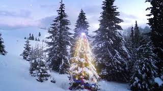 🎄 Tim Ambler - Winter Wonderland 🎄