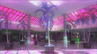 cyber sex by doja cat but it’s slowed and playing in an empty mall