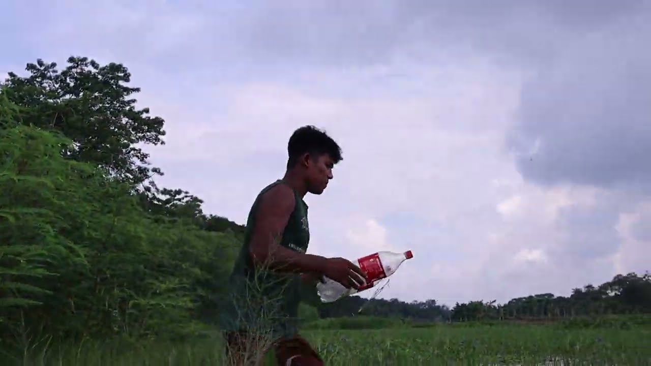 Fish Trap With Plastic Bottle! Amazing Fish Video