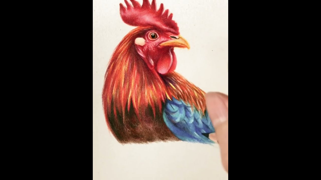 Mastering 4K Realistic Chicken Painting | Step-by-Step Tutorial