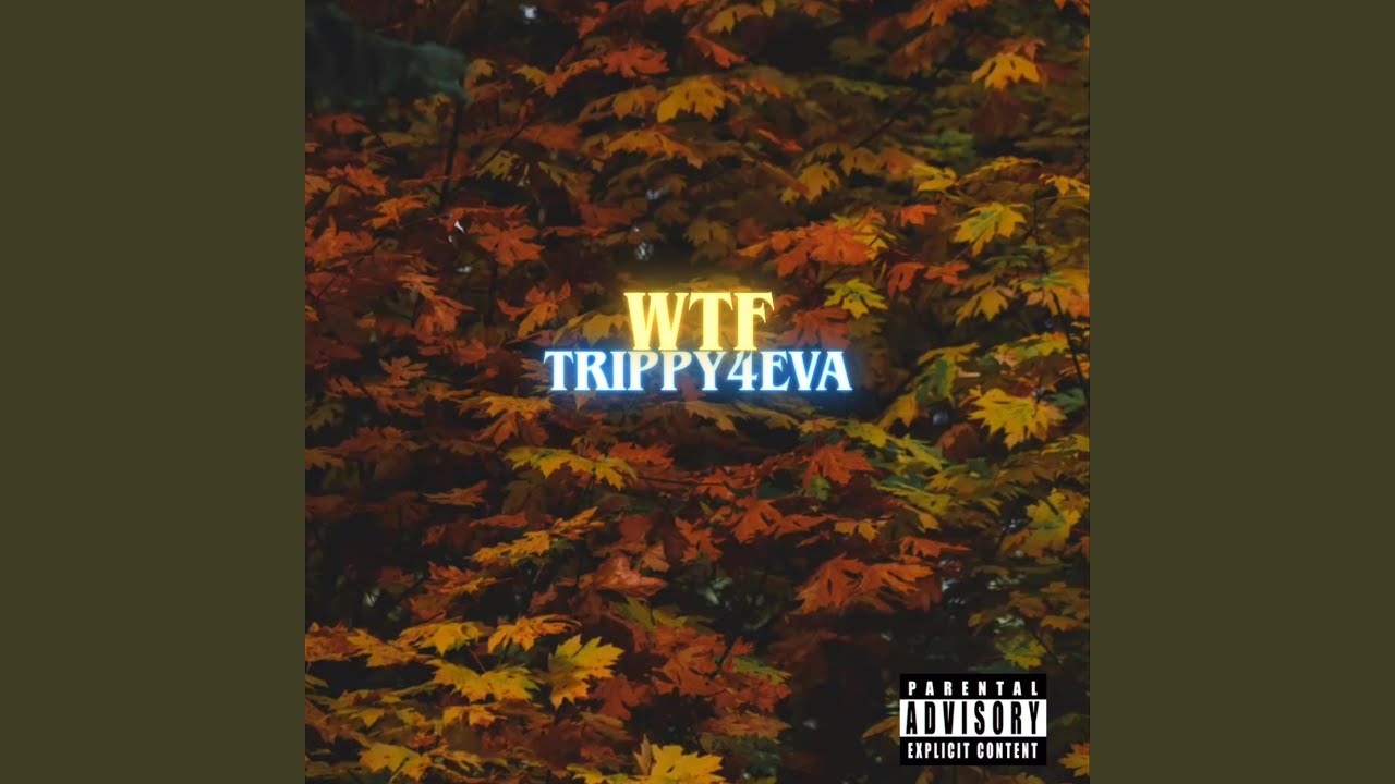 Guarda WTF su YouTube Guarda WTF su YouTube