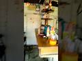 vlog day 53 #vlog #viral#shorts  #youtubeshorts #shortsfeed