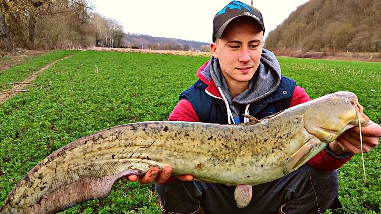 Pecanje Soma krajem zime. Neočekivno dobar Ulov !