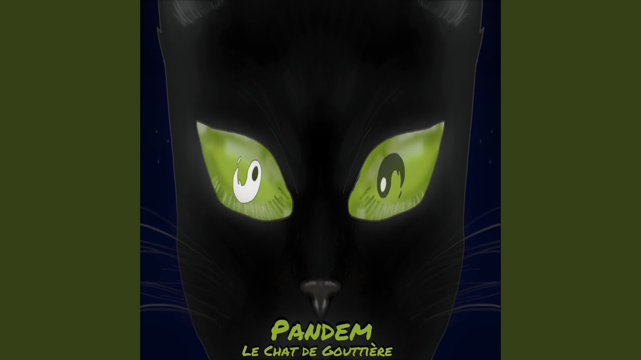 Le Chat De Gouttiere Youtube