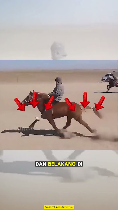 This Horse's Running Style Is Confusing!