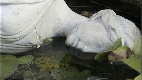 :漫画书//codex13//MANDELA ECFECTUS...14.17 ...#FUNGI# pt2