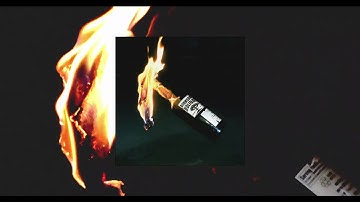 NOT A TOY - DOOMSDAY HOLIDAY (visualizer)