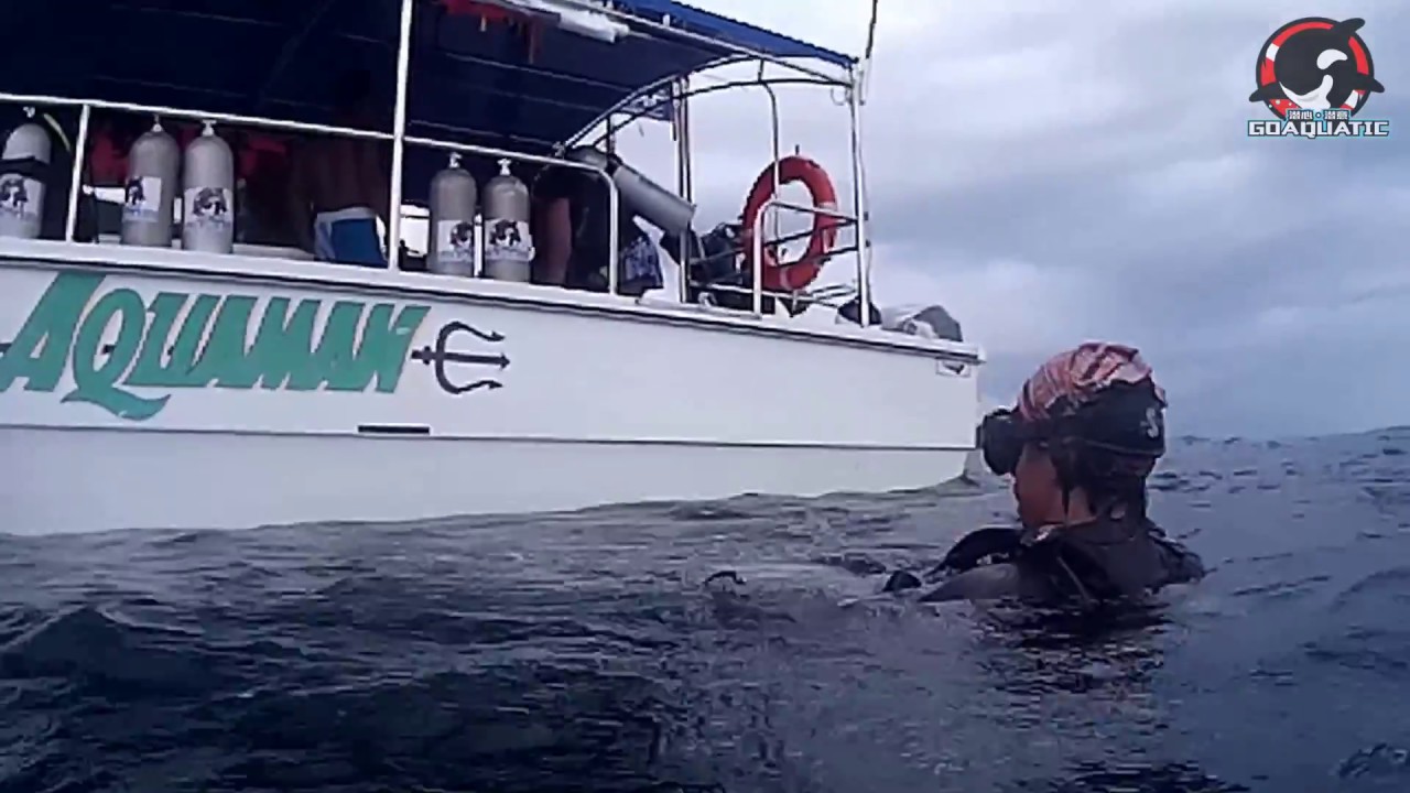Scuba Diving Kota Kinabalu Back Roll Entry Go Aquatic YouTube