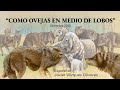 &quot;Como ovejas en medio de lobos&quot; | Hno Javier Vázquez Olivares