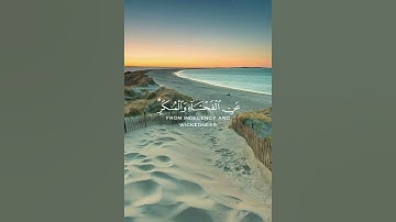 تلاوة من سورة العنكبوت 🌹قرآن كريم 🌹القارئ عبد الرحمن مسعد 🌹