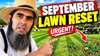 Do This Before September Is Gone — Get Thicker, Greener Grass Next Spring