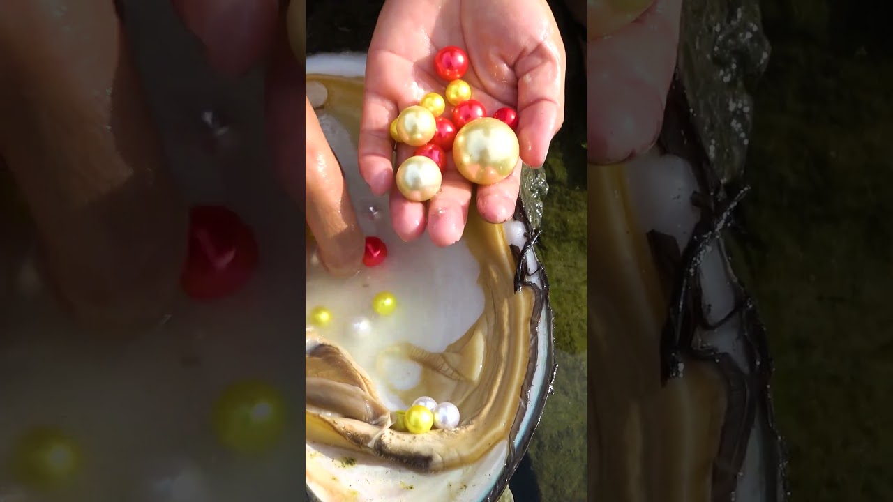 For the sake of beautiful pearls, beautiful women use their skills