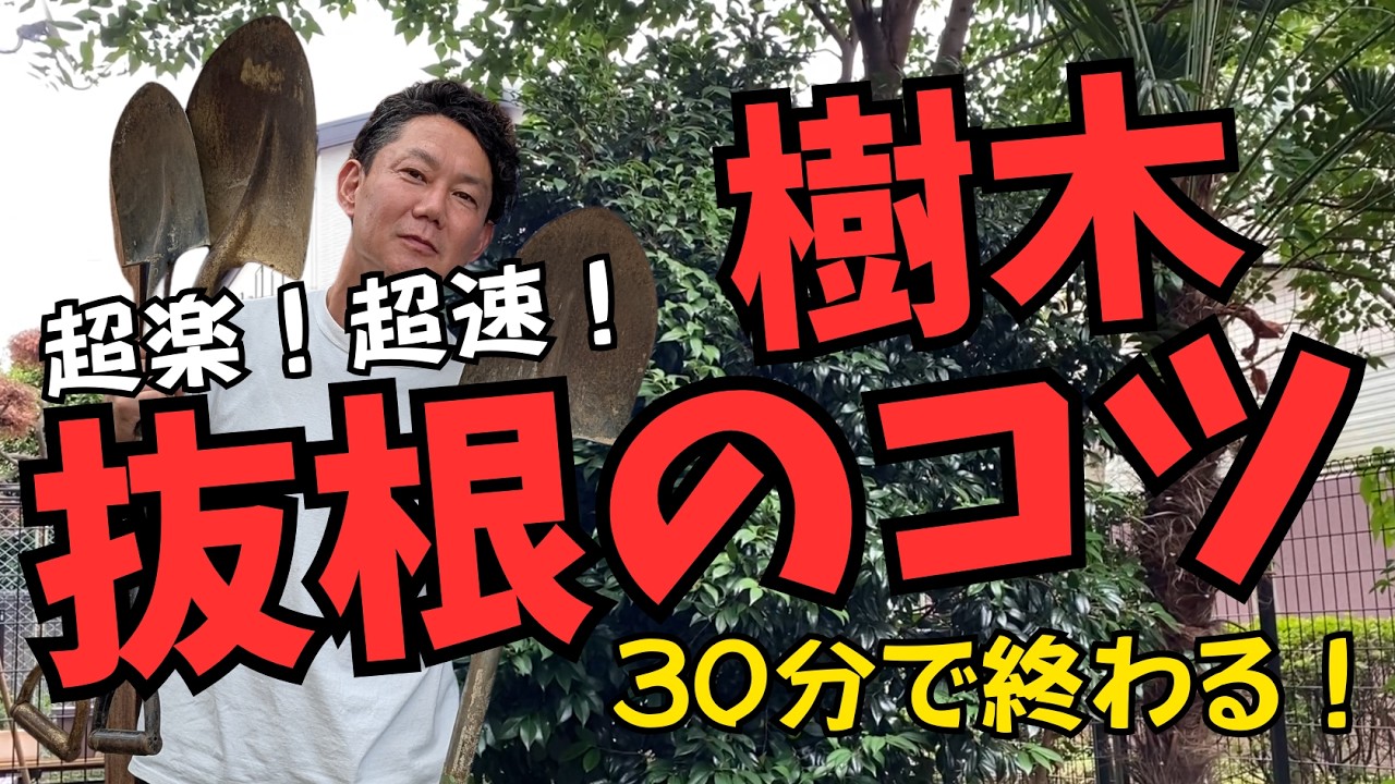 【樹木の抜根！時短のコツはひとつだけ】超絶簡単！スコップの向きを変えるだけ　#庭づくり #ガーデニング #ガーデンデザイン #ぐりんぐりん