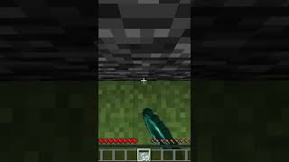This Minecraft Glitch Lets You Walk Through Walls! #Shorts