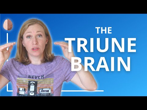 The Triune Brain