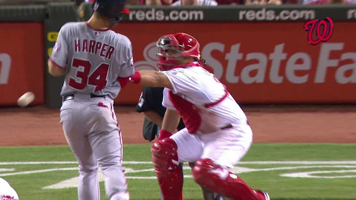 WSH@CIN: Harper hit in the back, exchanges words