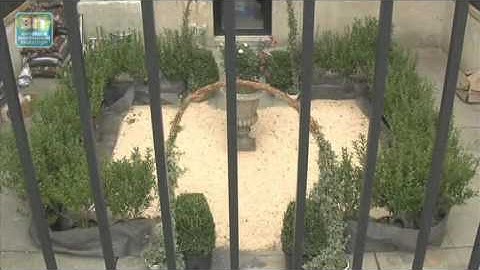 Then She Fell: Caught In The Act