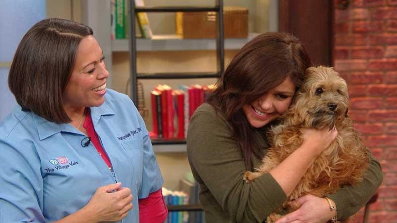 2 Vets Explain Which Foods Could Harm Your Pup | Rachael Ray Show