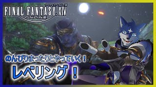 【FF14（ネタバレ注意！）】のんびりとレベリング！