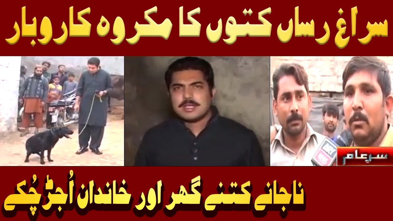 The Nefarious Business of Sniffer Dogs in Pakistan is Exposed | Iqrar Ul Hassan | Sar e Aam