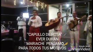 Miniatura de vídeo de """Capullo de rosa" Mariachi Penjamo de Cucuta Colombia-3107822415-Yuto Canoa(Ever Duran)"
