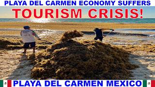 PLAYA DEL CARMEN MEXICO ECONOMY SUFFERS - TOURISM CRISIS! - SEAWEED OVERLOAD - BEACHES OVERWHELMED