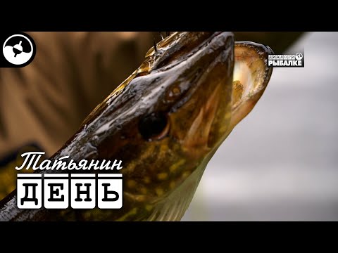 Щука. Троллинг. Рыбалка